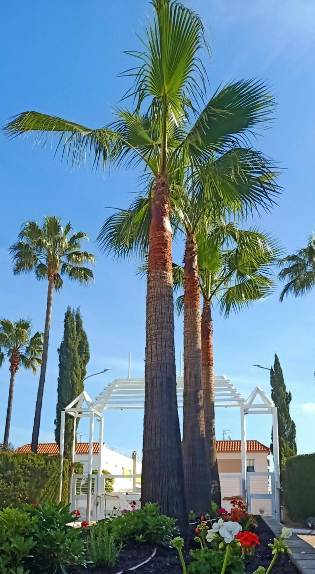 Hospedium Hotel Blu Torre De Sevilla 托里蒂拉雷纳 外观 照片